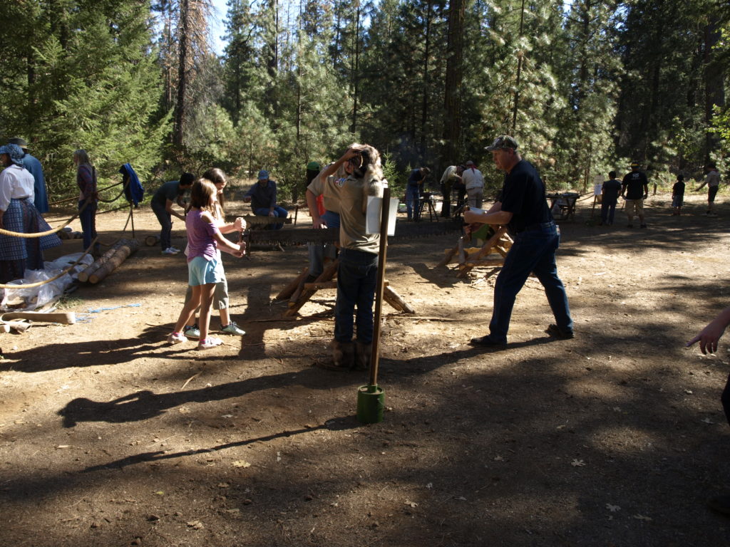 Sawing