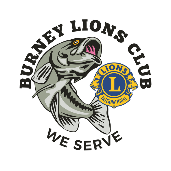 If you find a problem with this website